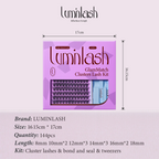 Glammatch Clusters Lash Kit | Daily Natural Look