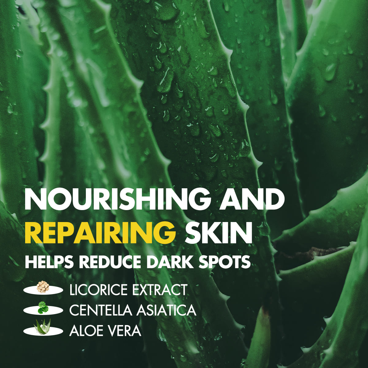 REFRESHING & SOOTHING SUNSCREEN | SPF 50 PA+++, UVB/UVA Protection