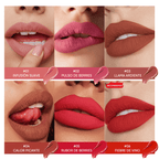 TINTE LABIAL MATE SUPER LOCK